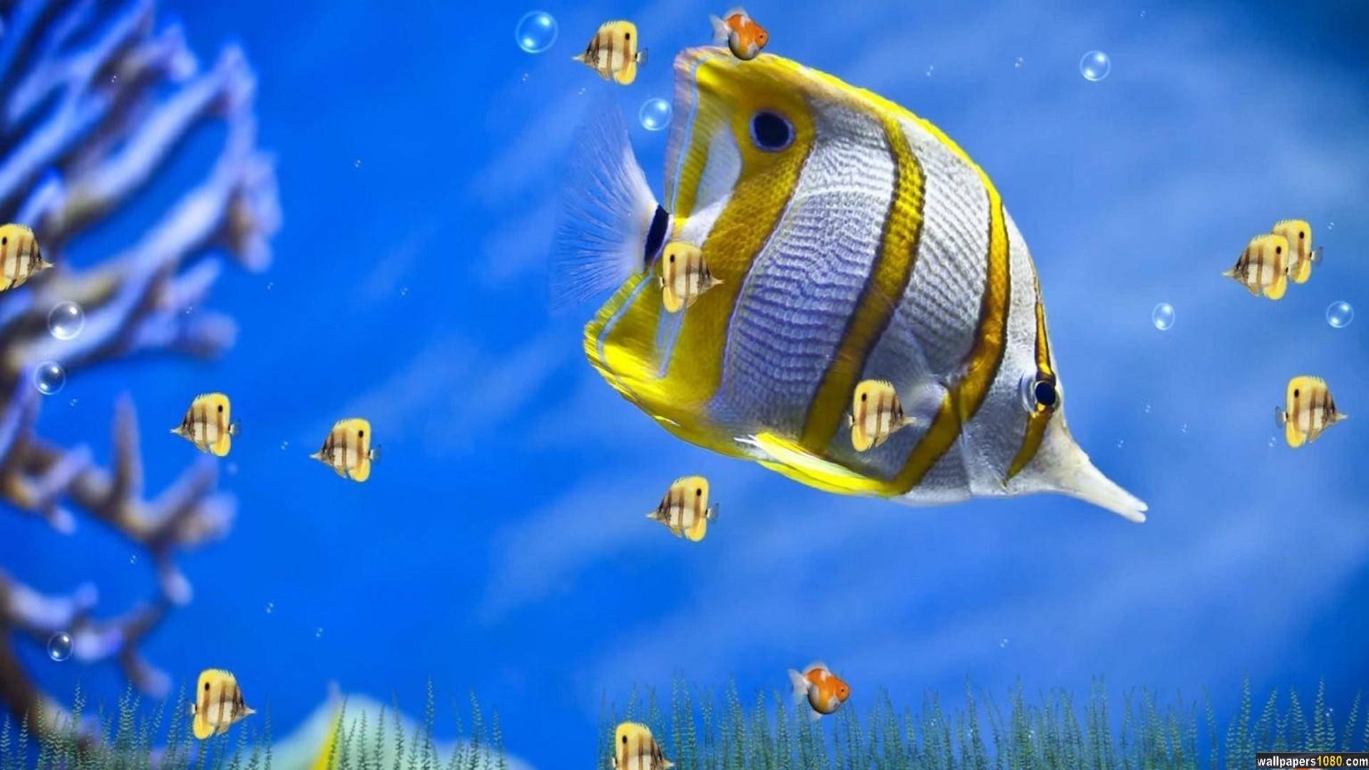 3D Fish Wallpapers