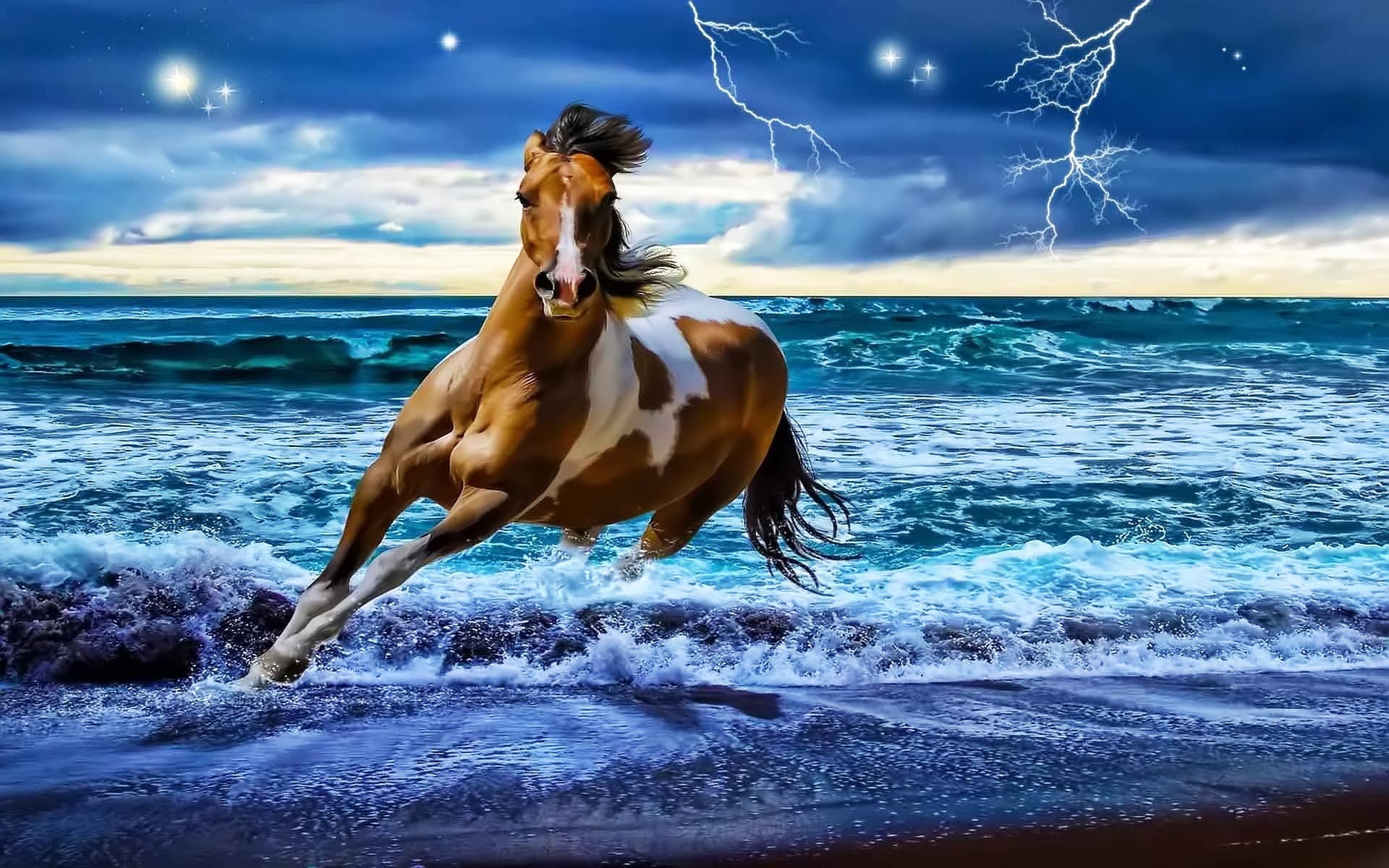 3D Horse Wallpapers