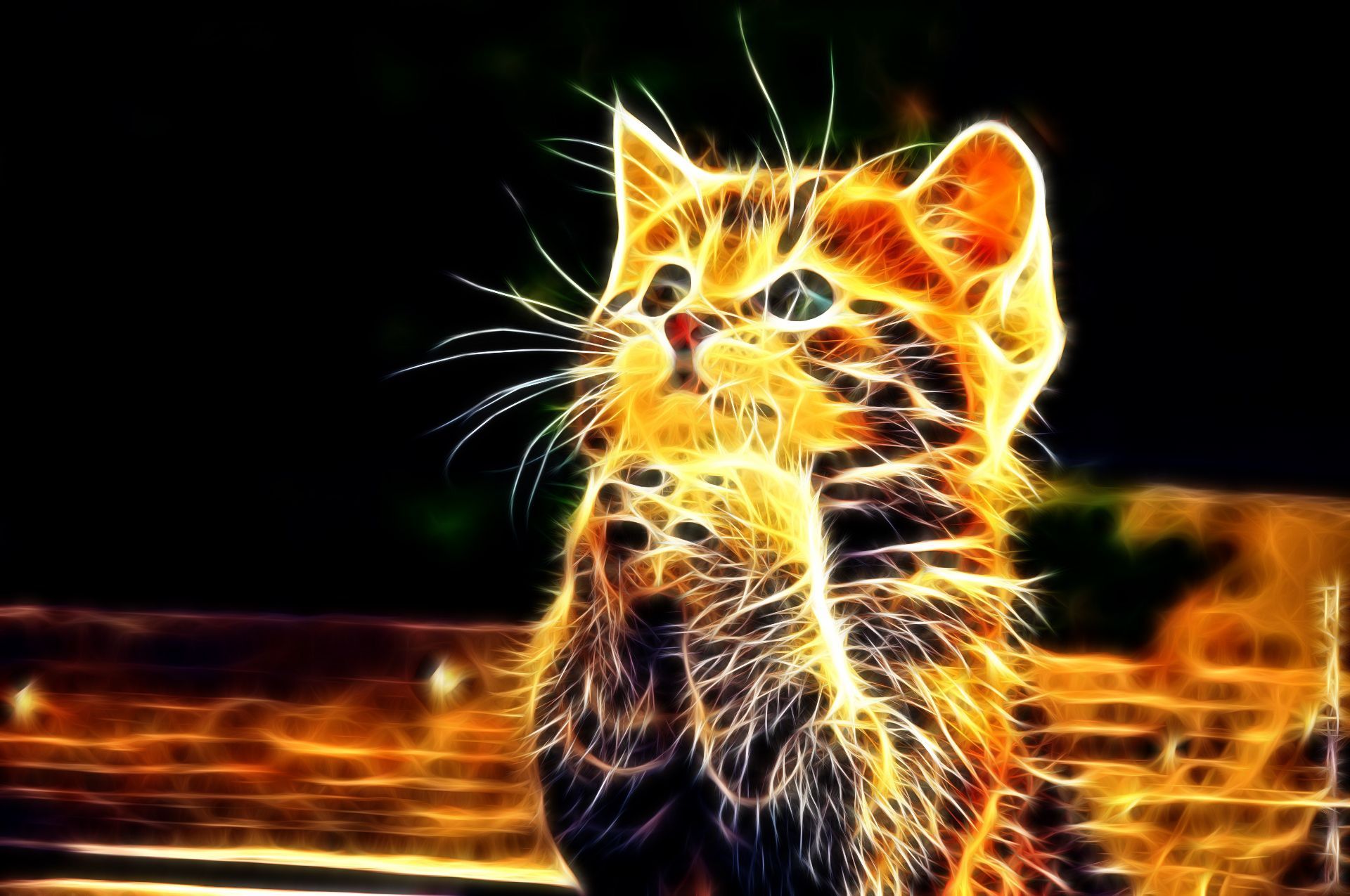 3D Cat Wallpapers