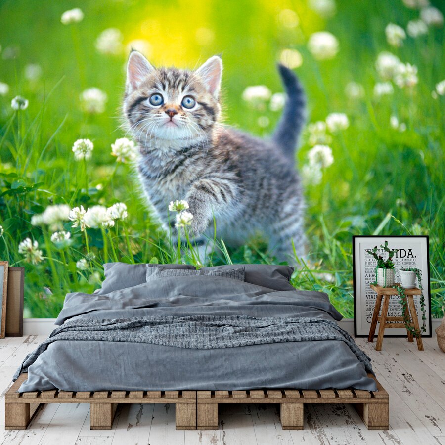 3D Cat Wallpapers