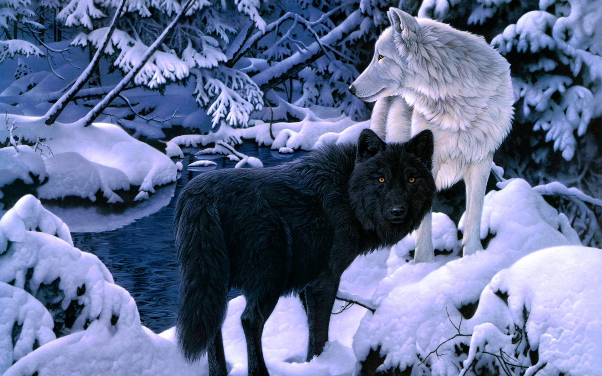 3D Wolf Wallpapers