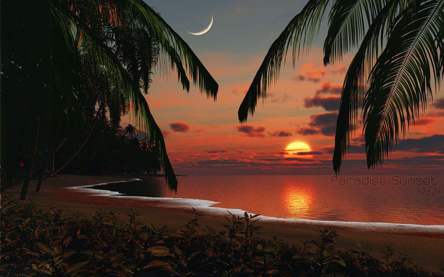 3D Island In Sunset Wallpapers