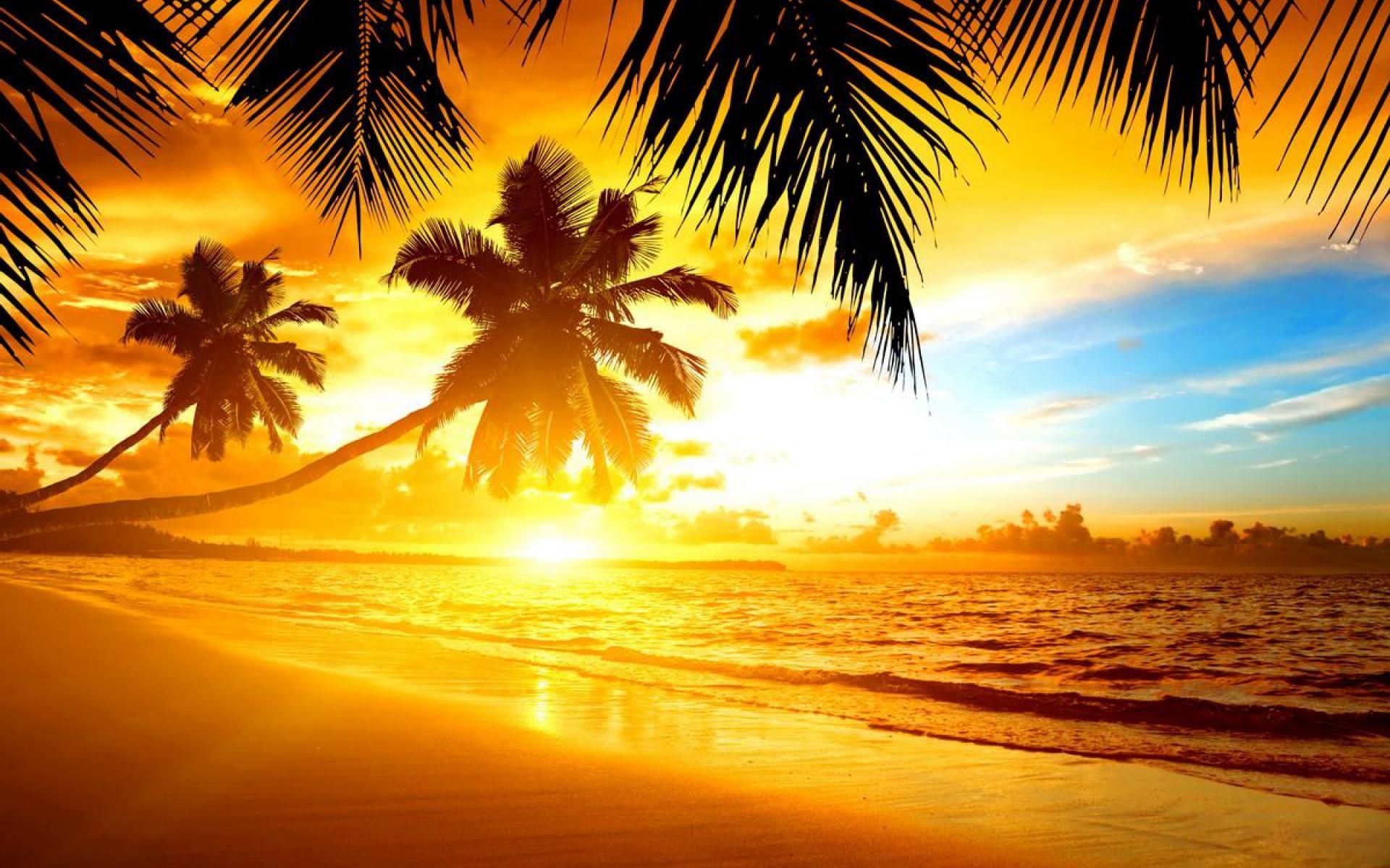 3D Island In Sunset Wallpapers