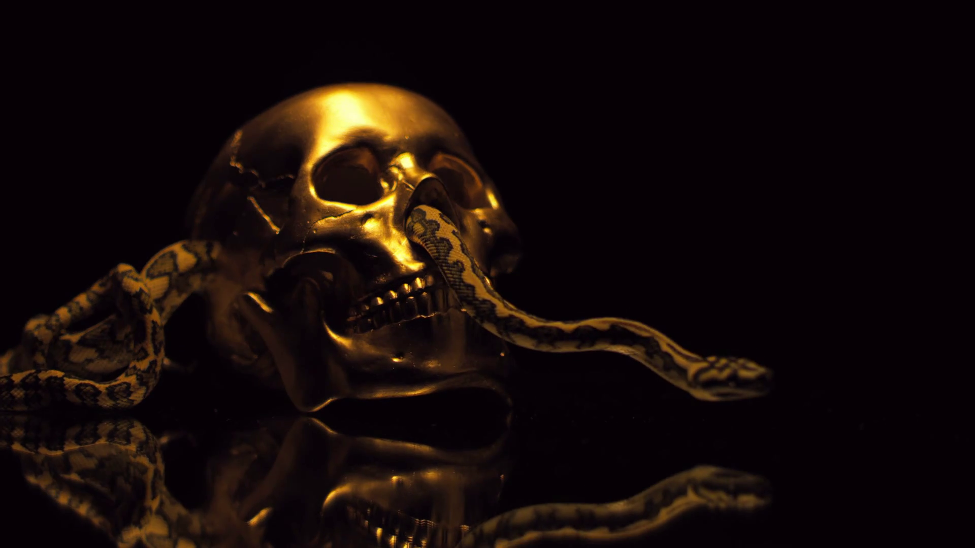 4K Gold Skull Wallpapers