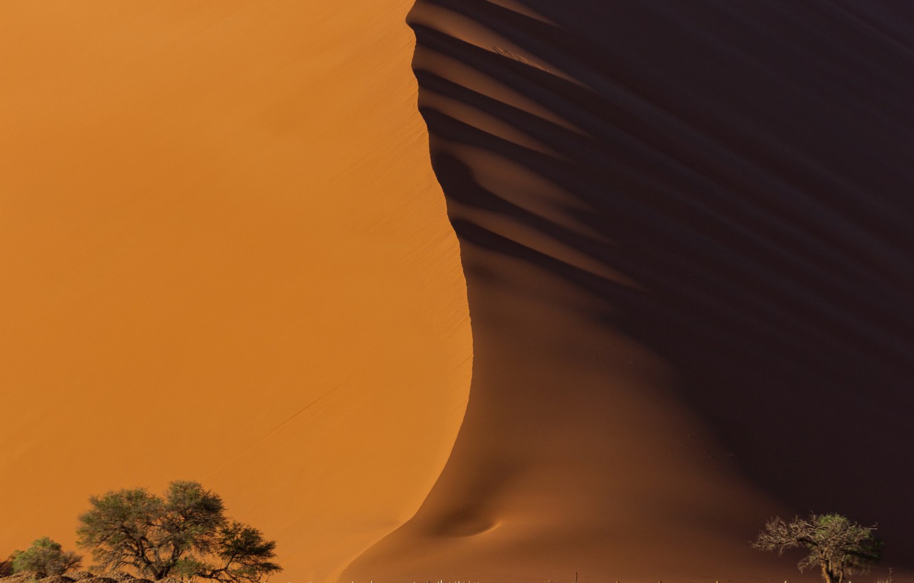 A Desert Illusion Wallpapers