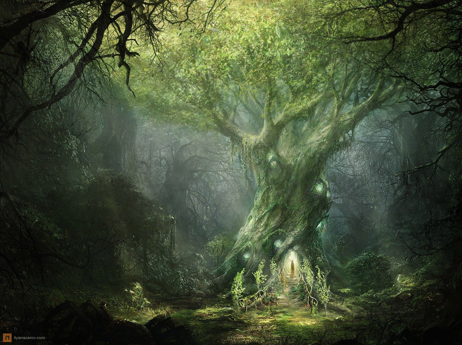 A Mysterious Forest Art Wallpapers