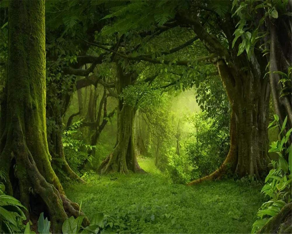 A Mysterious Forest Art Wallpapers