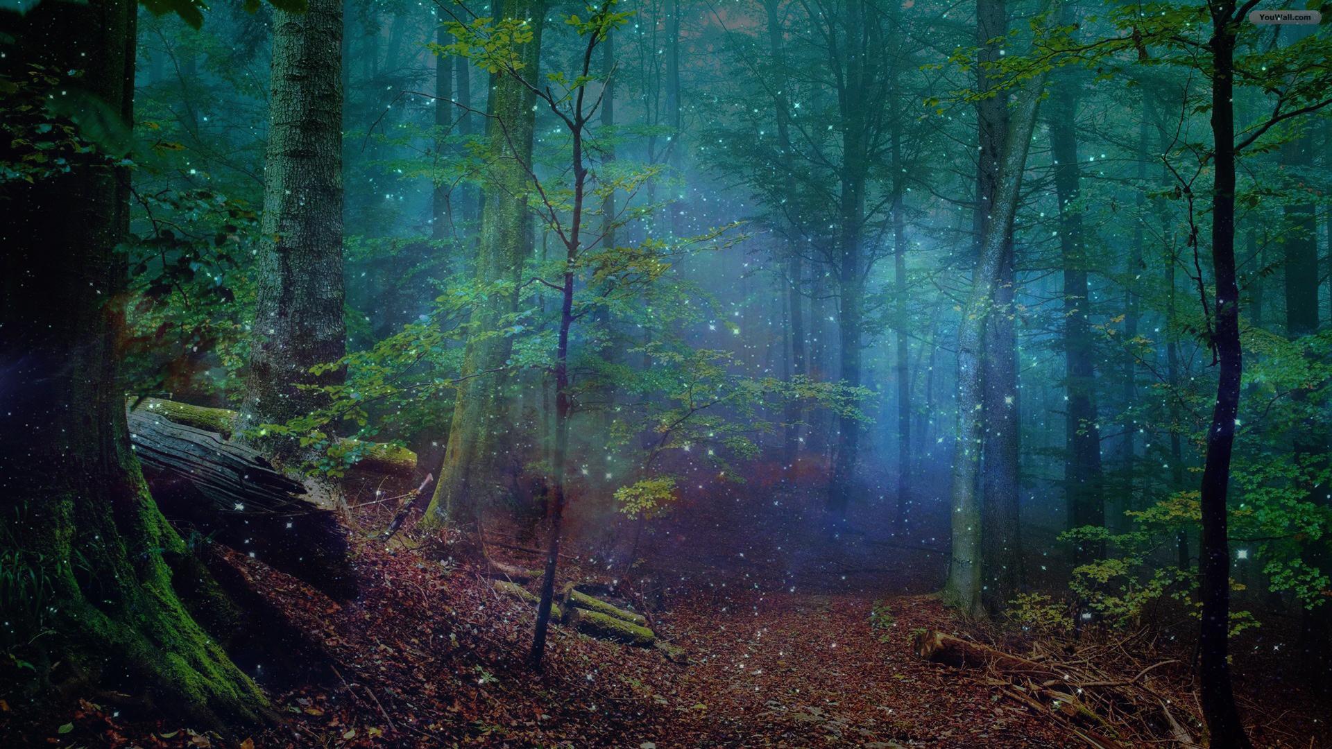 A Mysterious Forest Art Wallpapers