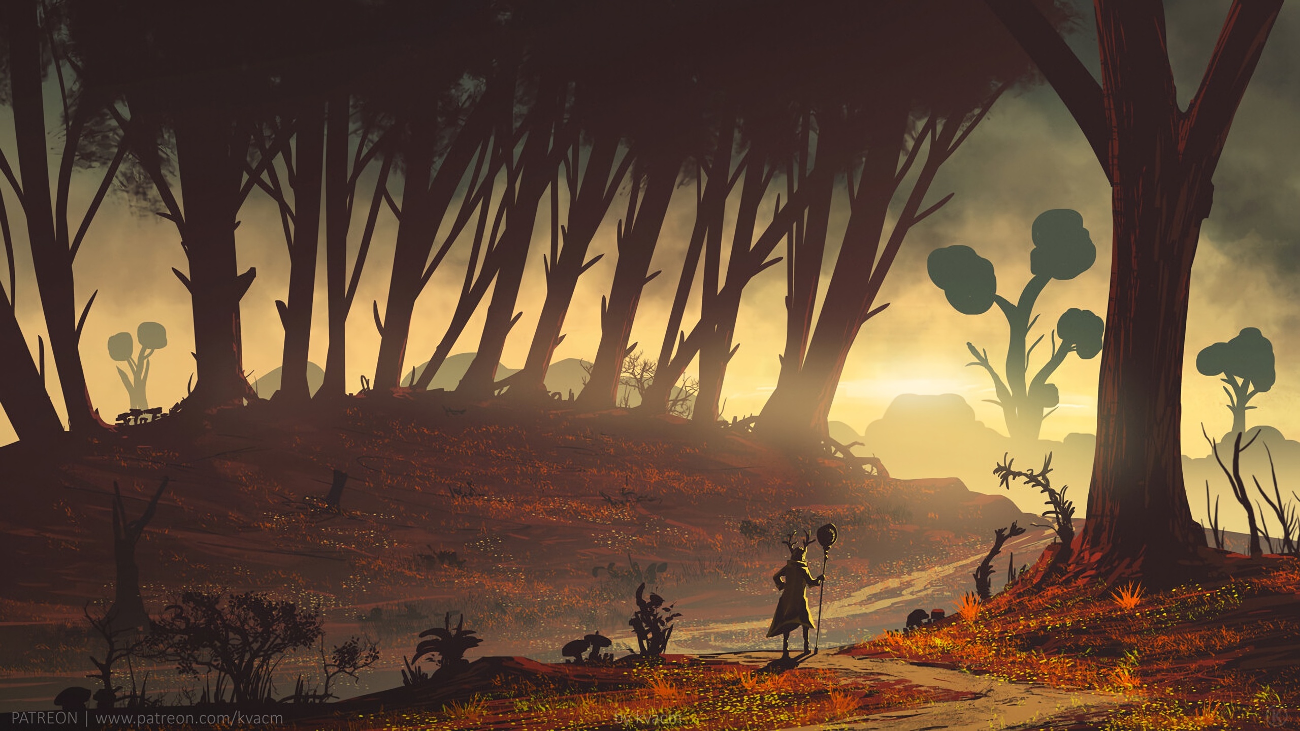 A Mysterious Forest Art Wallpapers