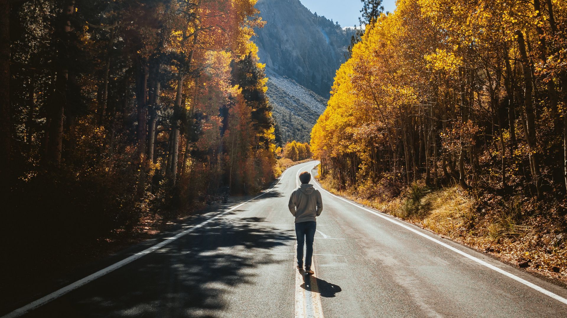 Alone Walking On Road Vaporwave Wallpapers