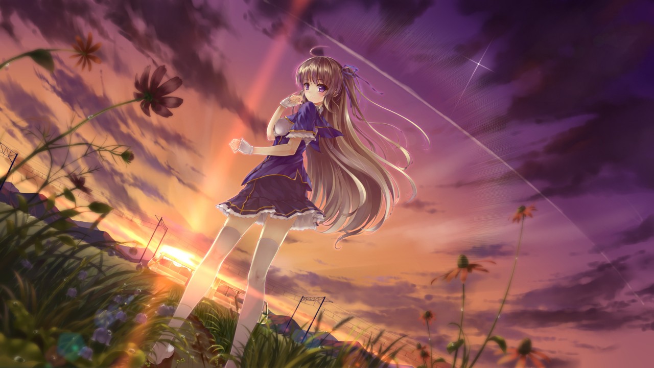 Anime Girl In Field Wallpapers