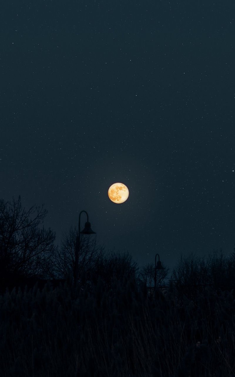 Artistic Full Moon In Starry Night Sky Wallpapers