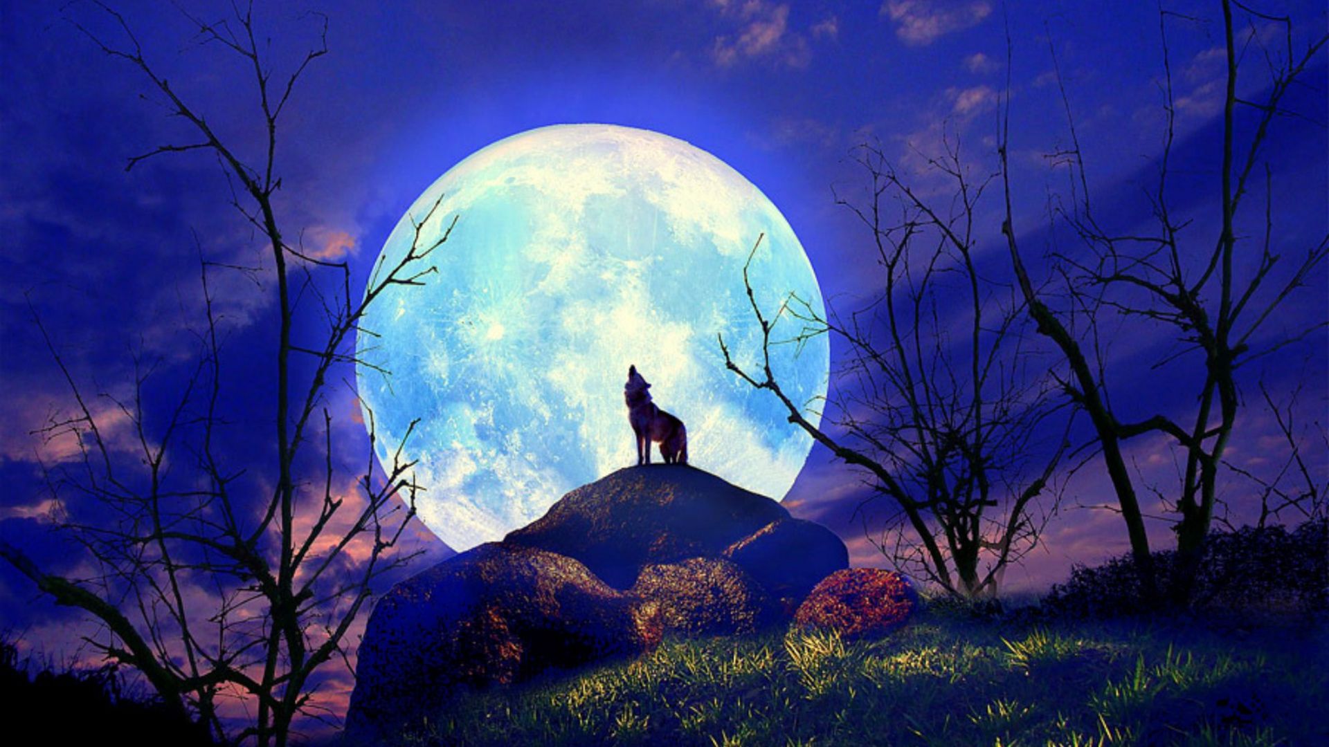 Artistic Moon Amazing Cool Wallpapers