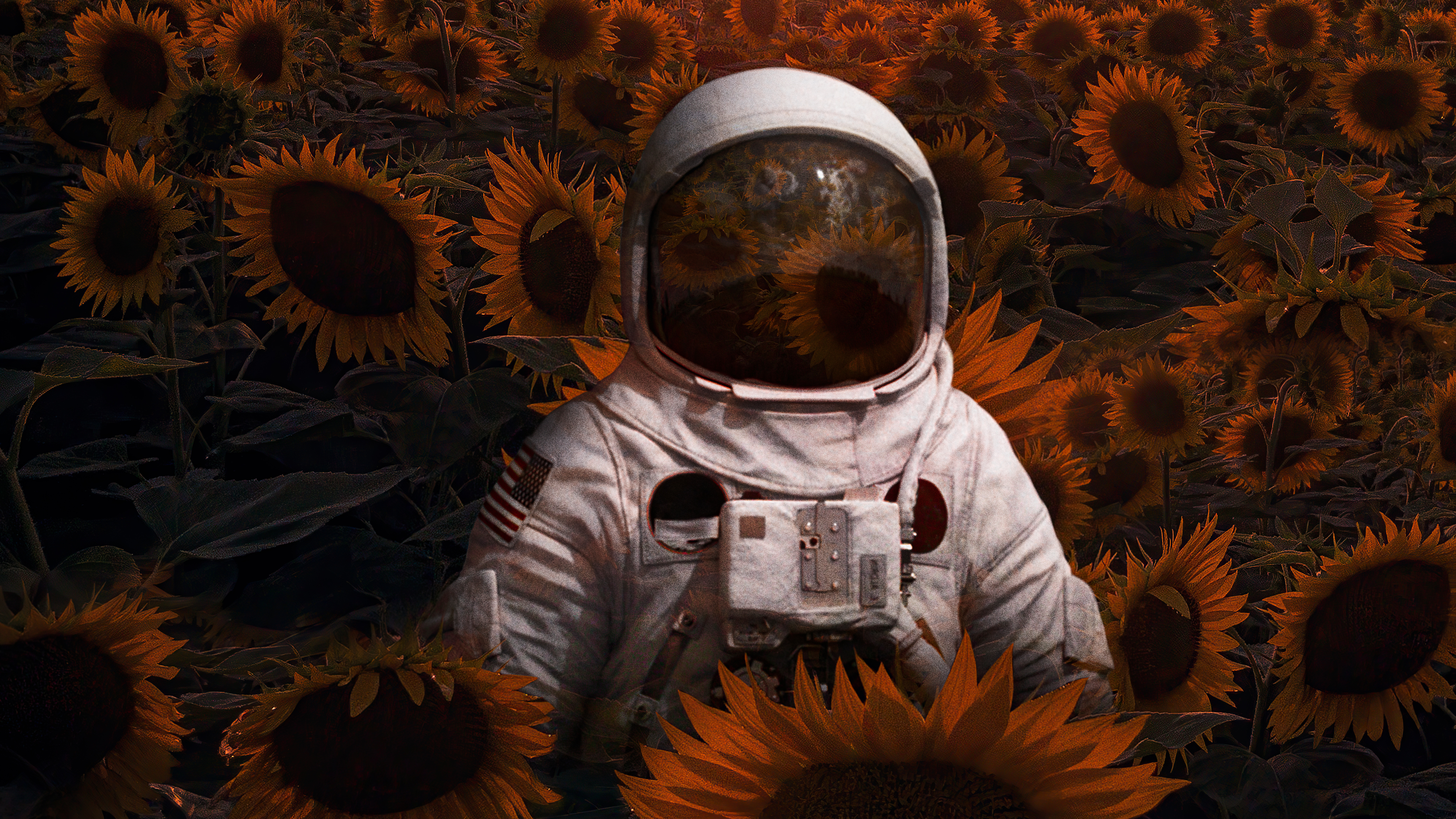 Astronaut Digital Art Wallpapers