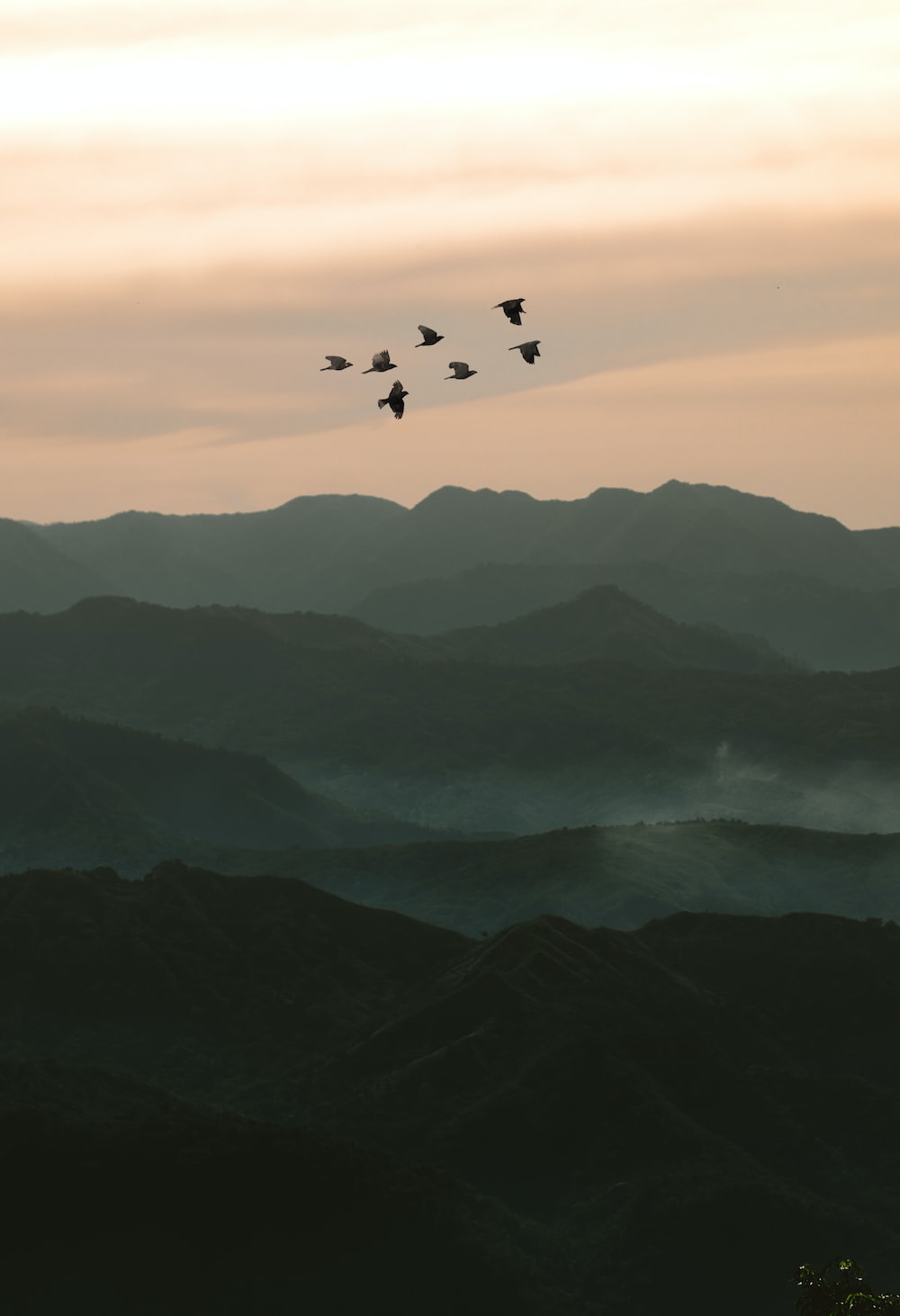 Birds Flying Over Mountains Wallpapers