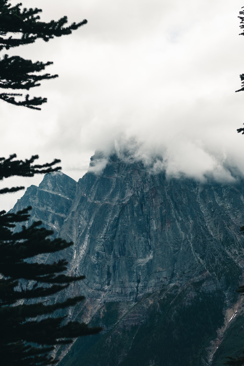 Birds Flying Over Mountains Wallpapers