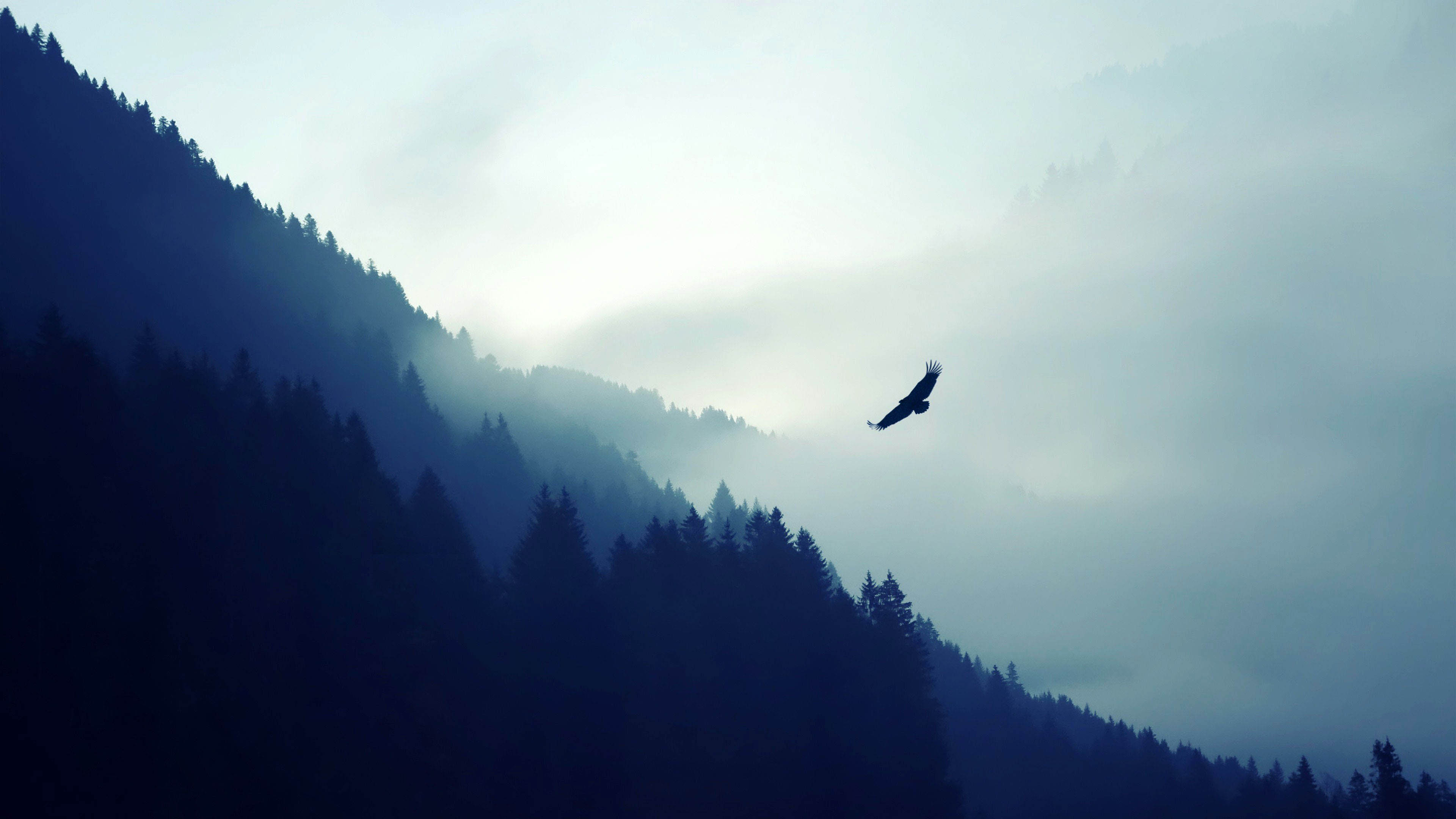 Birds Flying Over Mountains Wallpapers