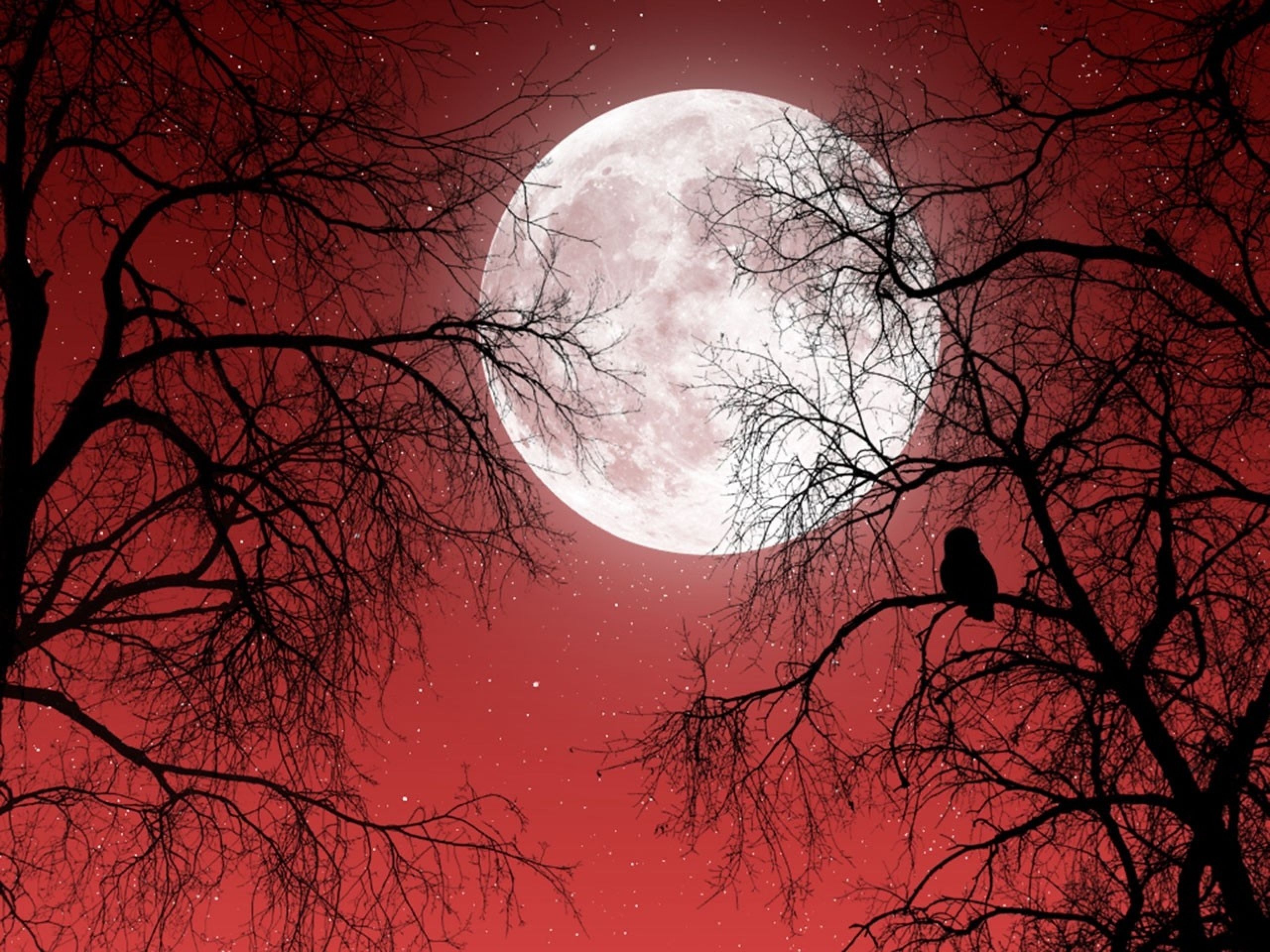 Blood Moon Night Photography Wallpapers