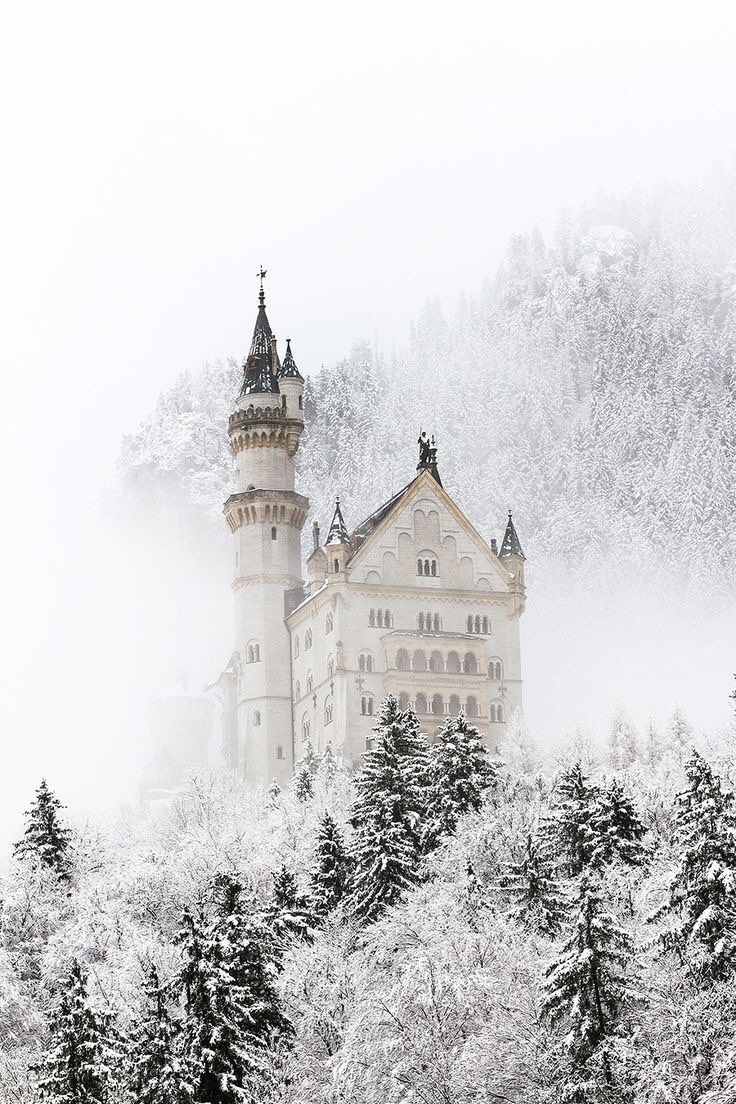 Castle In Winter Landscape Wallpapers