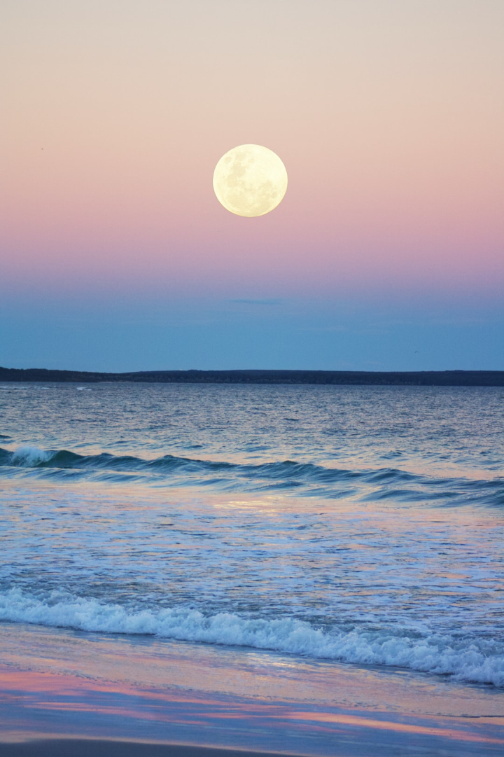 Catching The Moon In Ocean Wallpapers