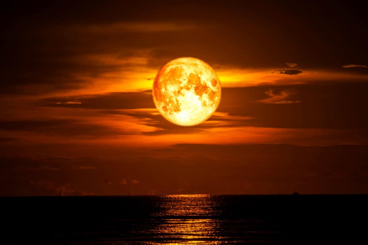 Catching The Moon In Ocean Wallpapers