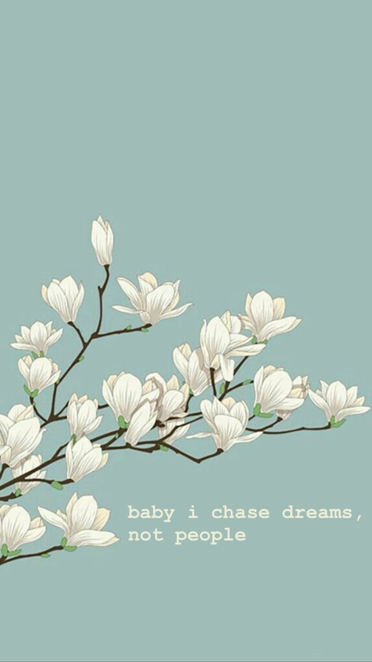 Chase Your Dreams Wallpapers