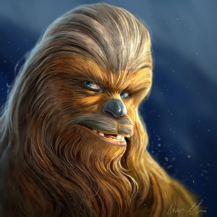 Chewbacca Cool Art Wallpapers