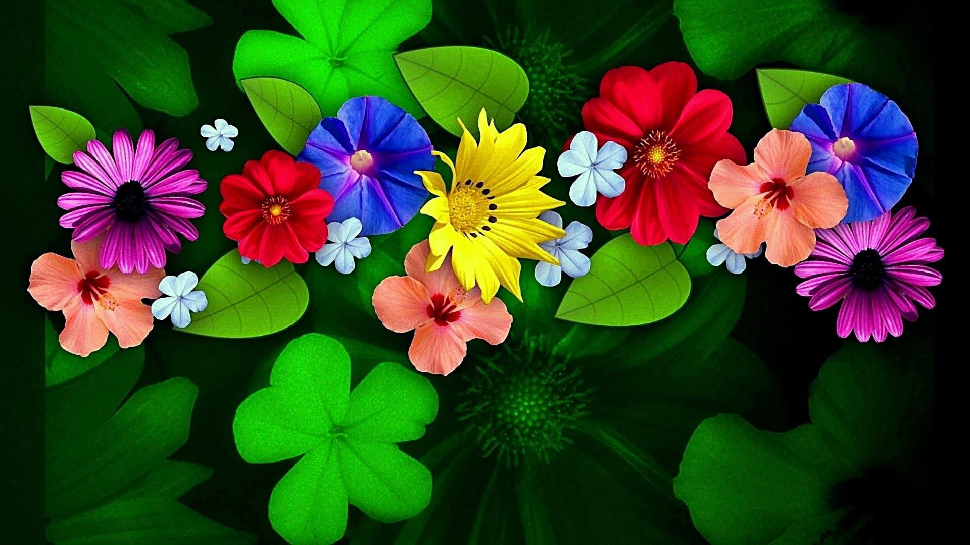 Colorful Flower Wallpapers