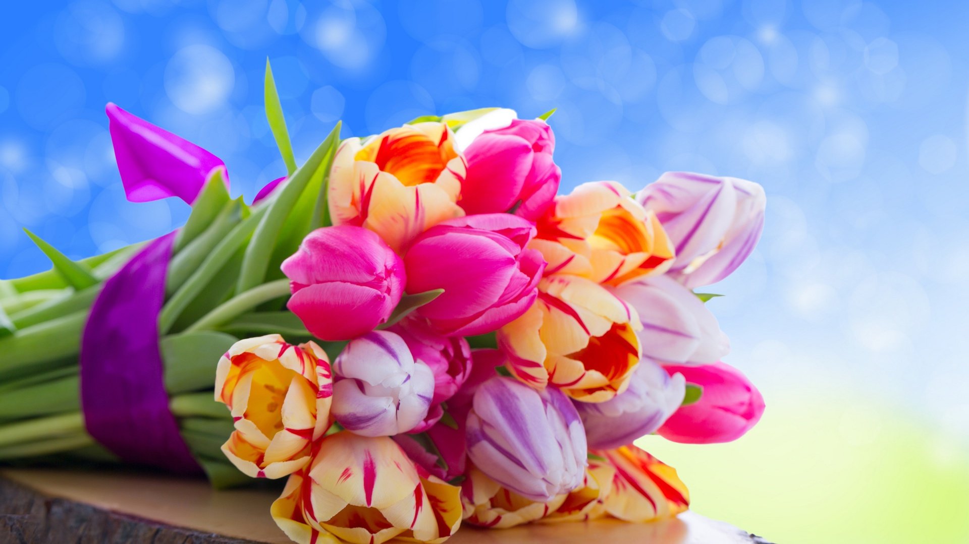 Colorful Flower Wallpapers