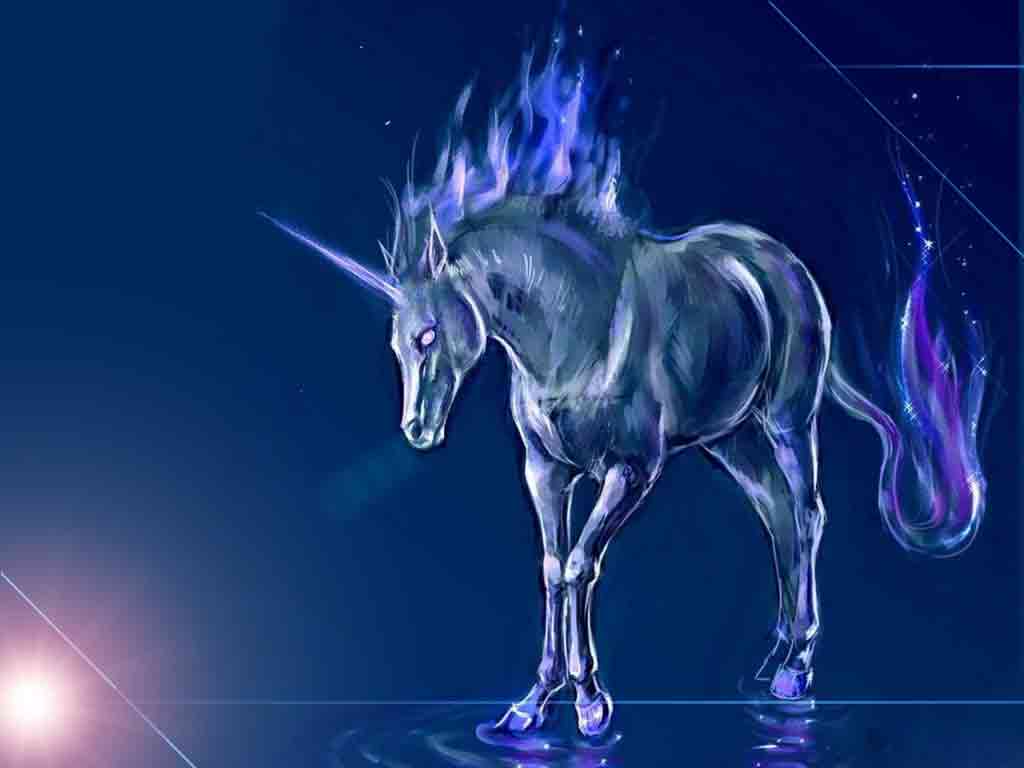 Colorful Neon Unicorn Horse Wallpapers