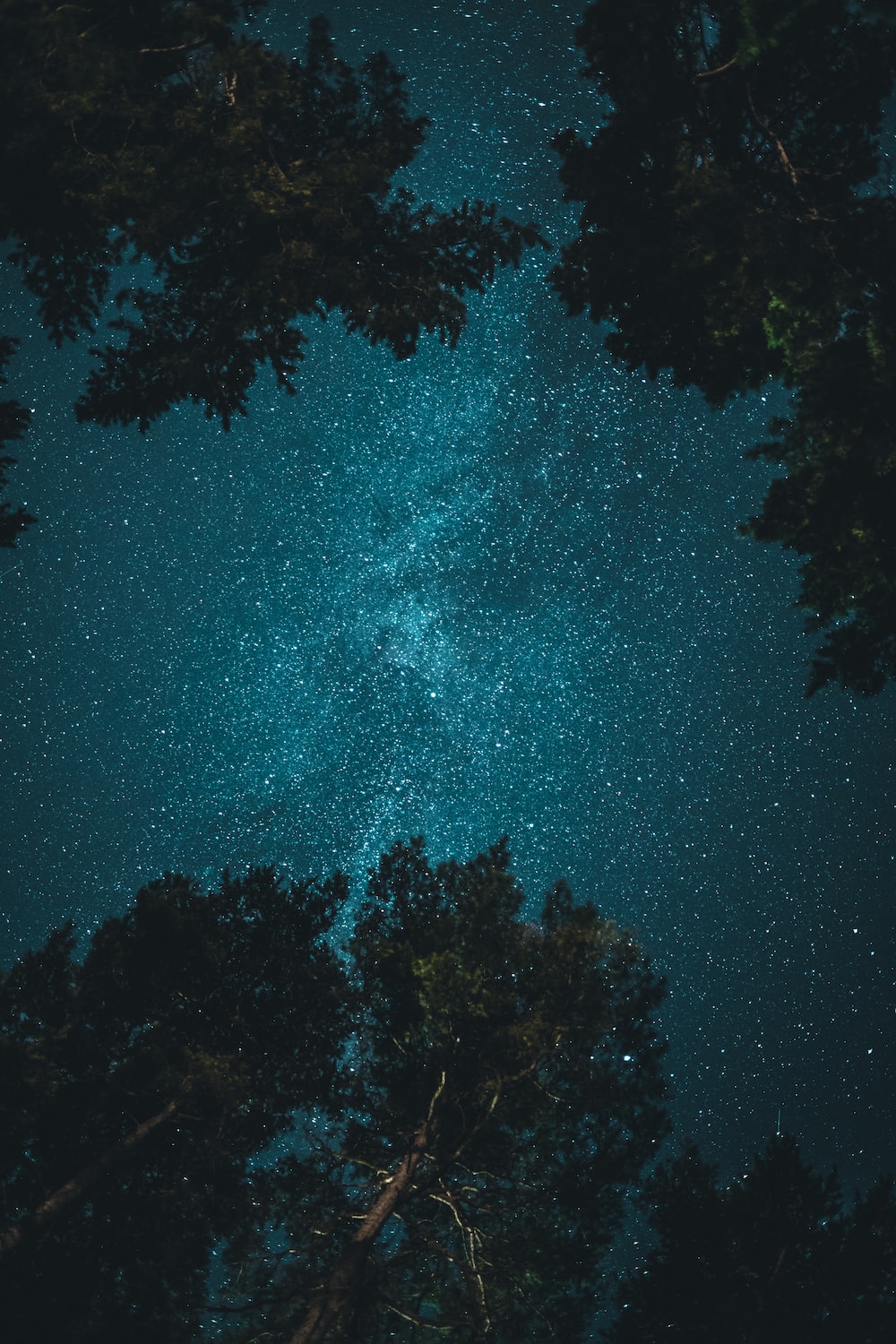 Couple At Night Enjoying Nightscape Wallpapers