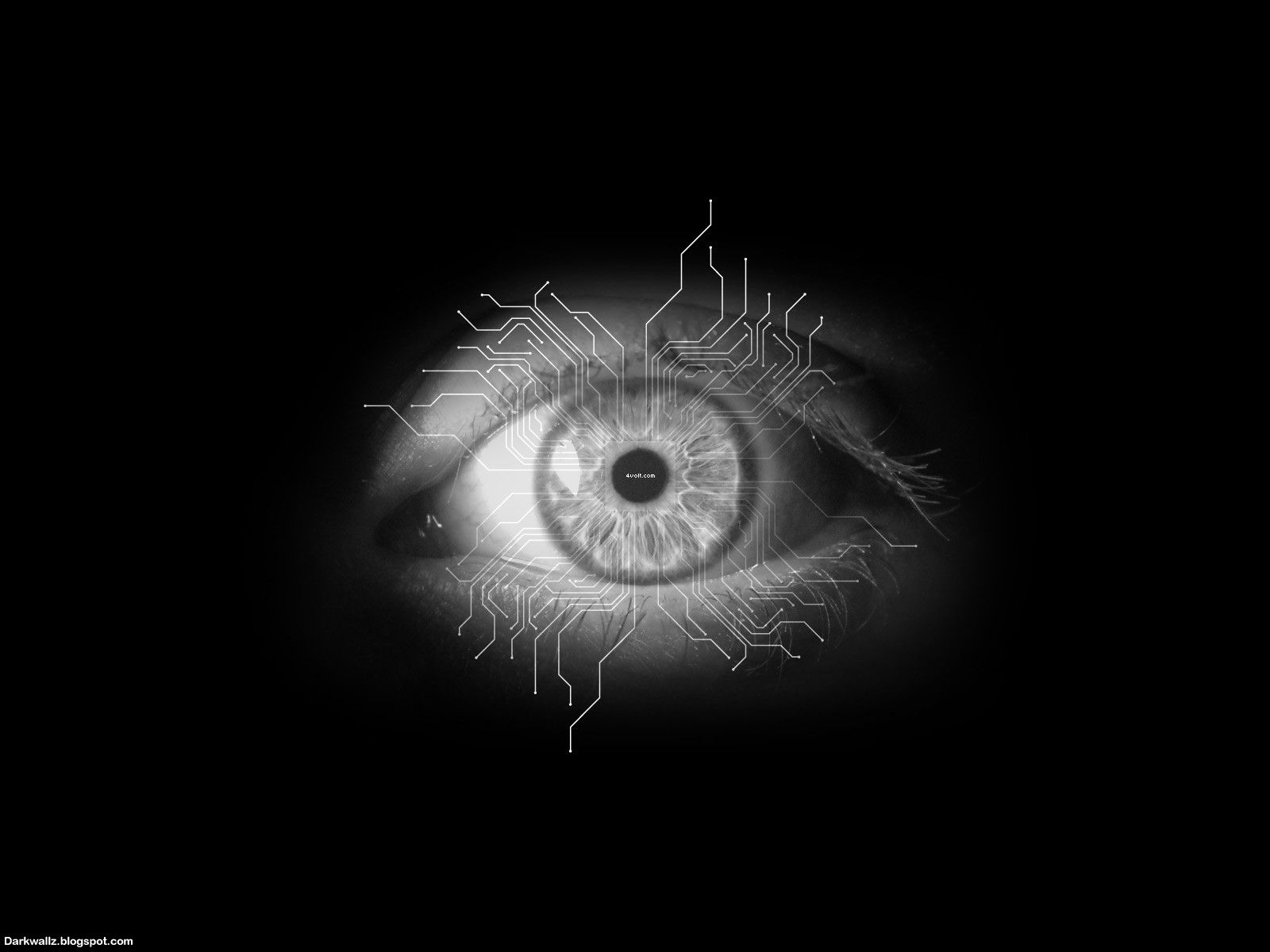 Creepy Blue Eye Wallpapers