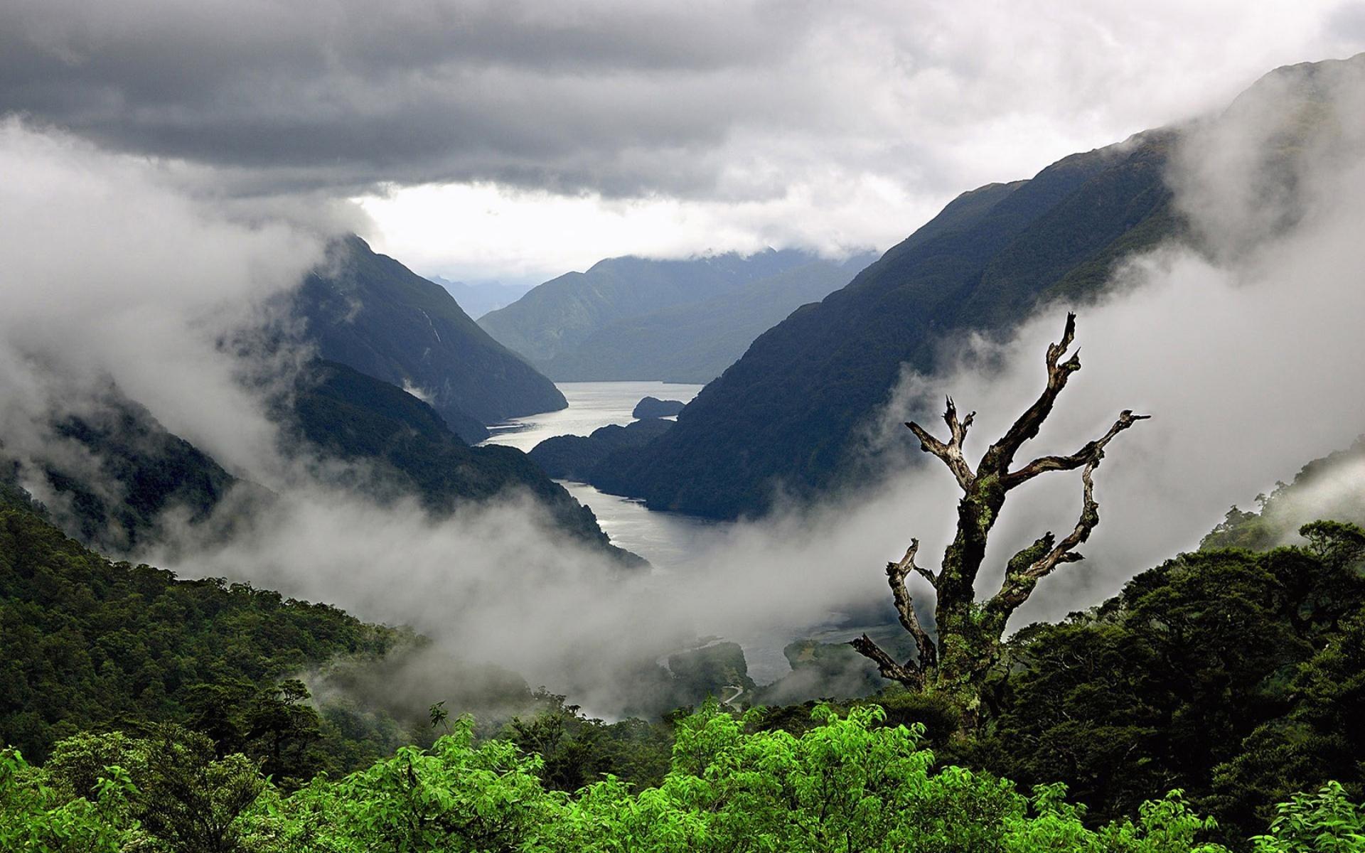 Foggy Valley With A Lake Wallpapers