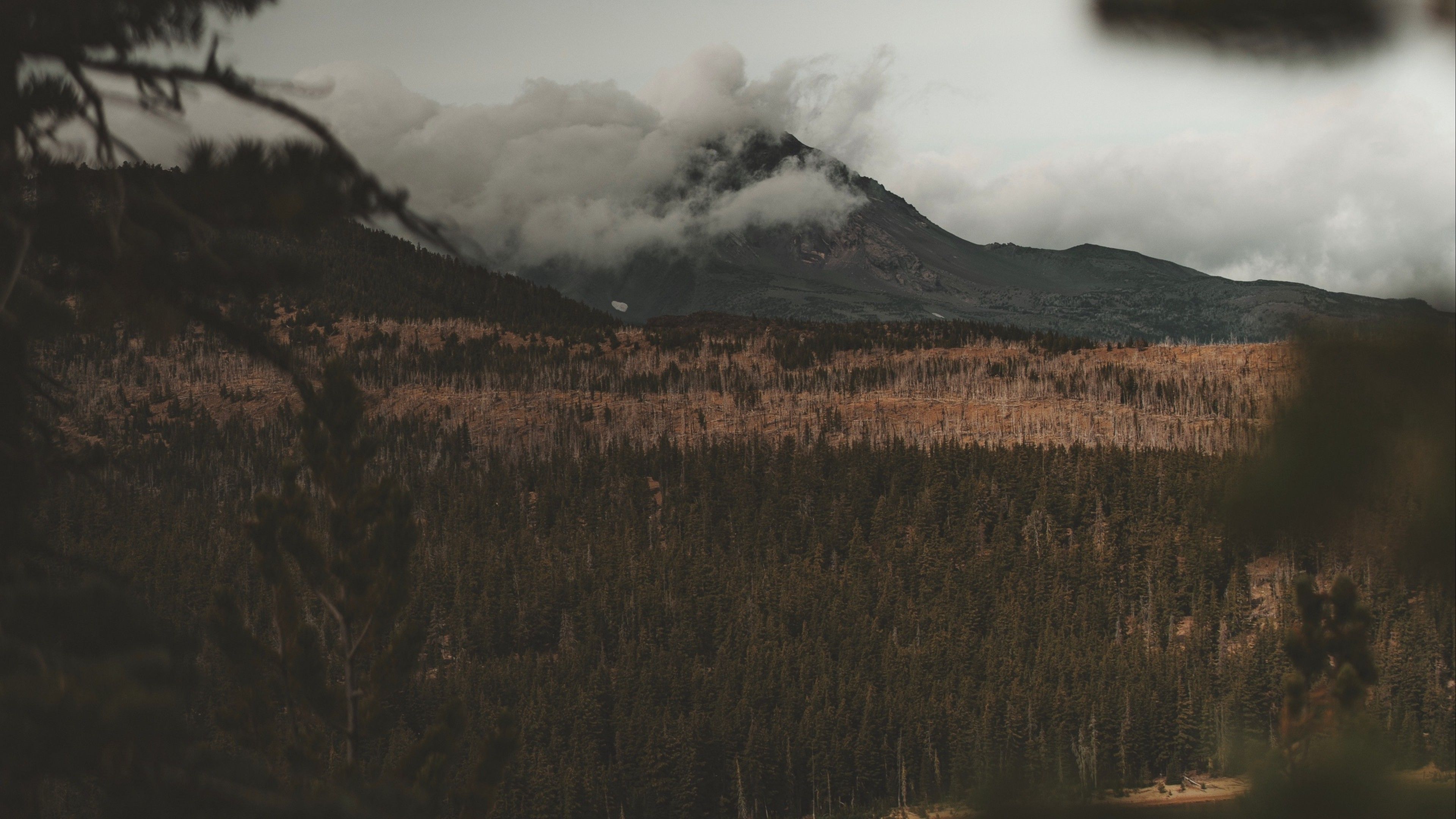 Foggy Valley With A Lake Wallpapers