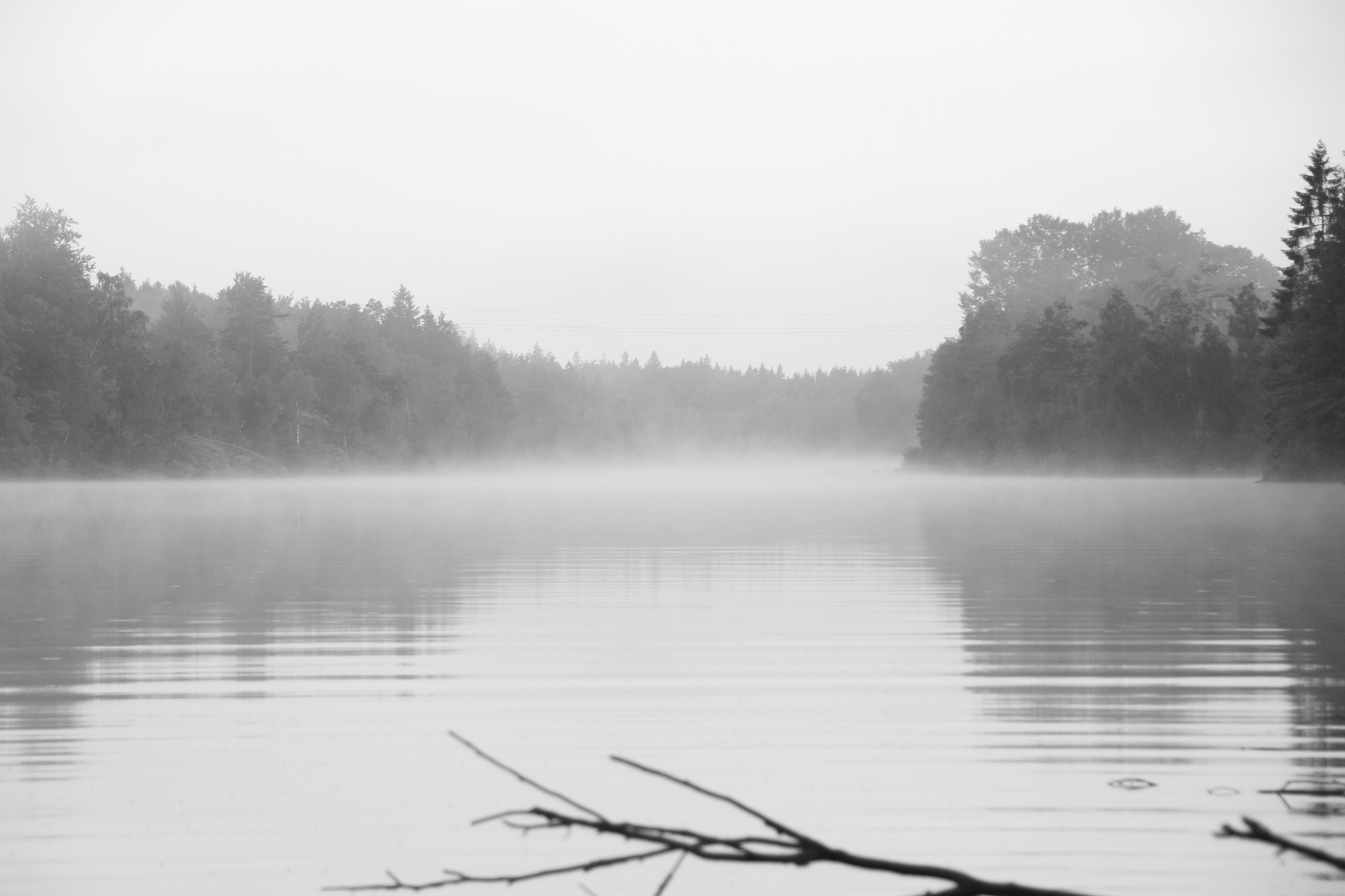 Foggy Valley With A Lake Wallpapers