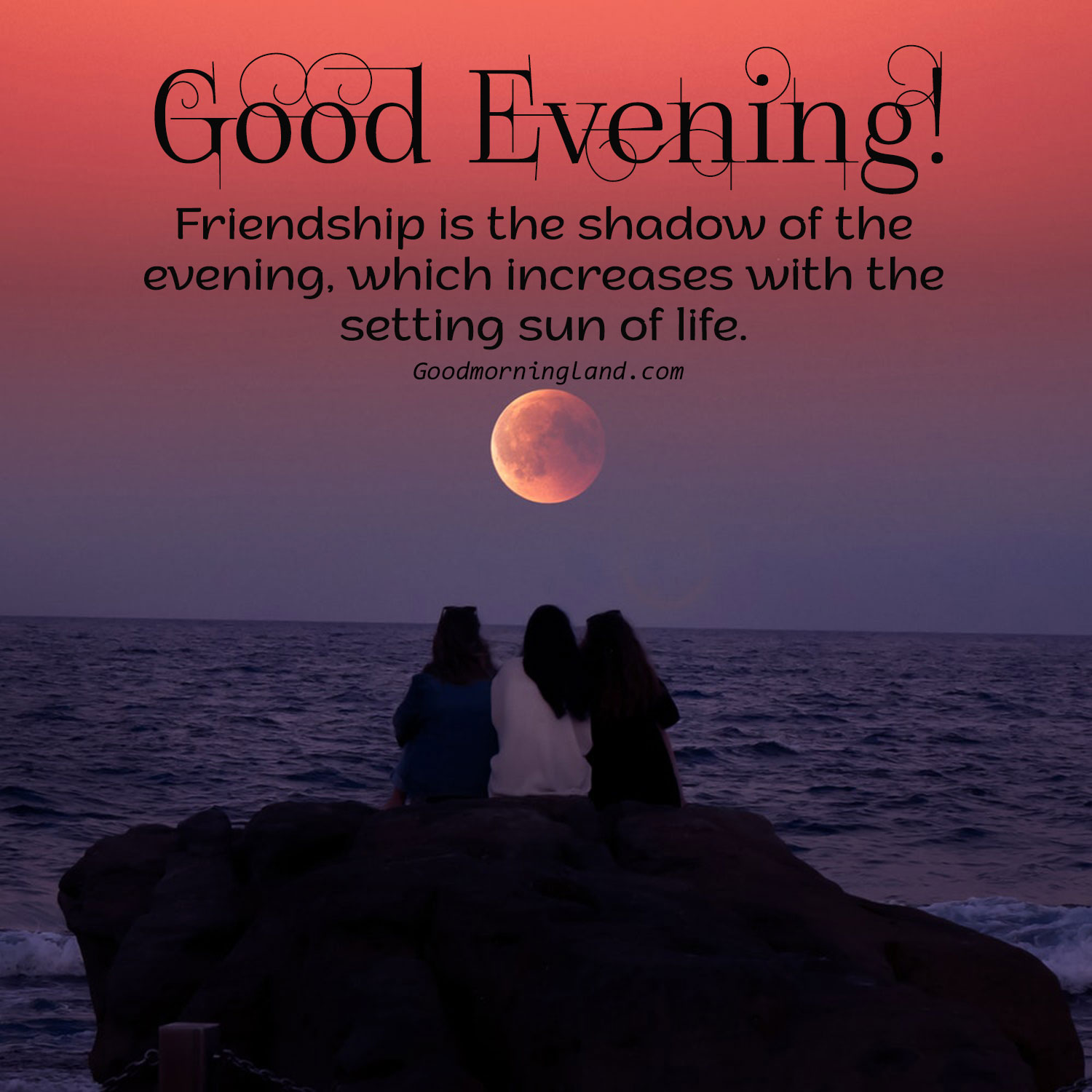 Friends Evening Wallpapers