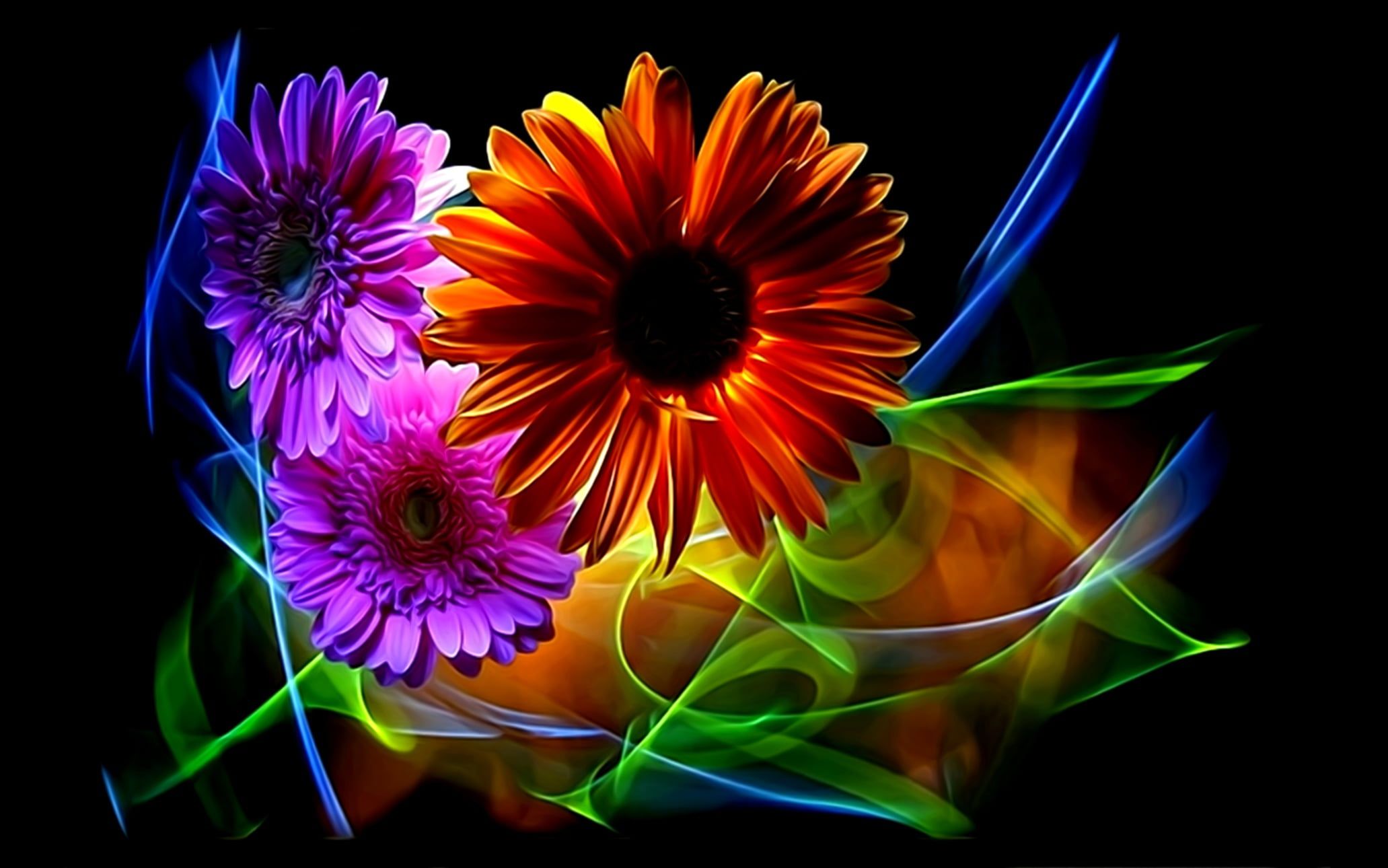 Gerbera Flower Fantasy Wallpapers