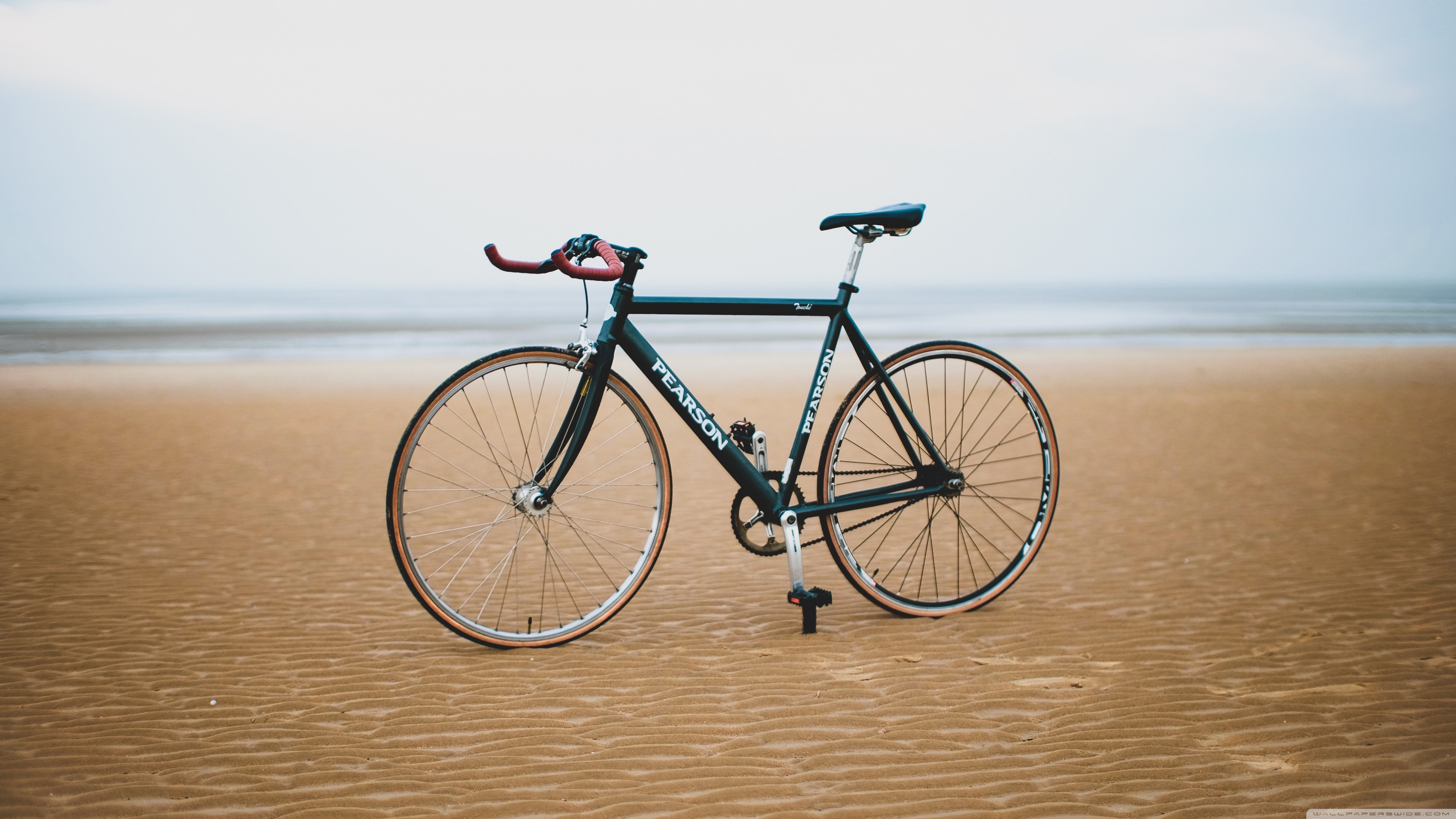 Girl Cycling Near Sea 4K Wallpapers