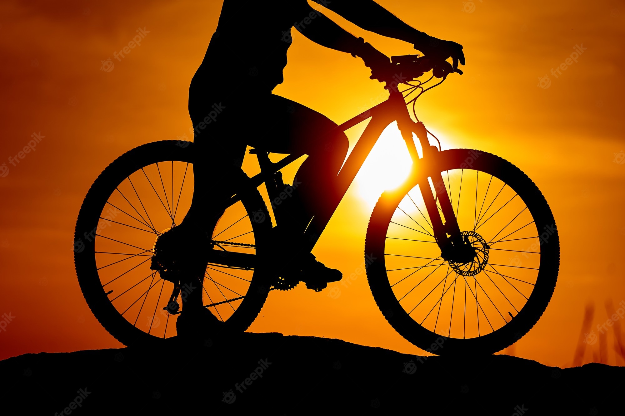 Girl Cycling Near Sea 4K Wallpapers