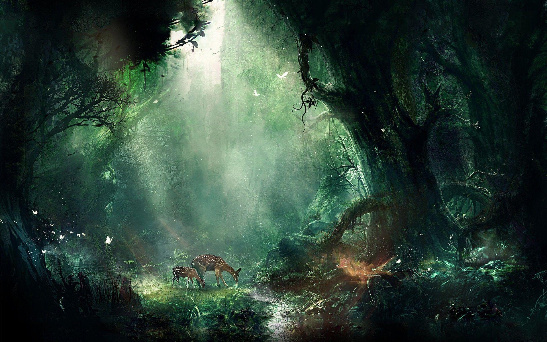 Magical Gate To Artistic Forest Wallpapers
