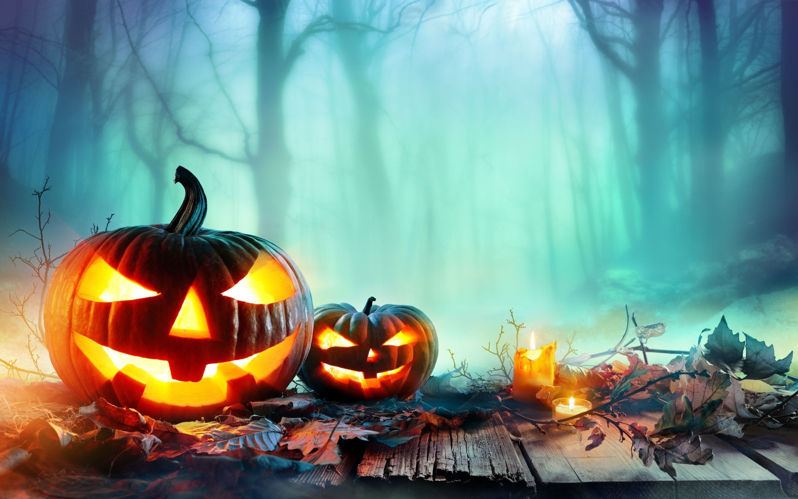 Mr. Pumkin Hd Halloween Wallpapers