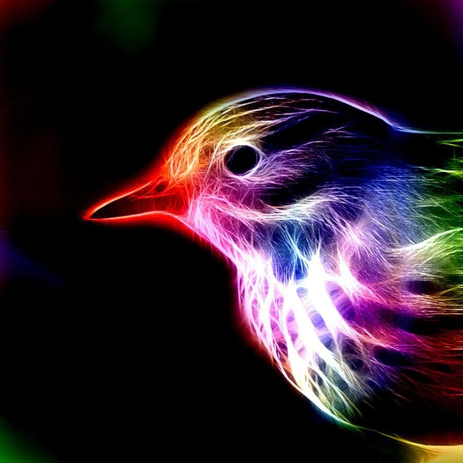 Neon Bird Wallpapers