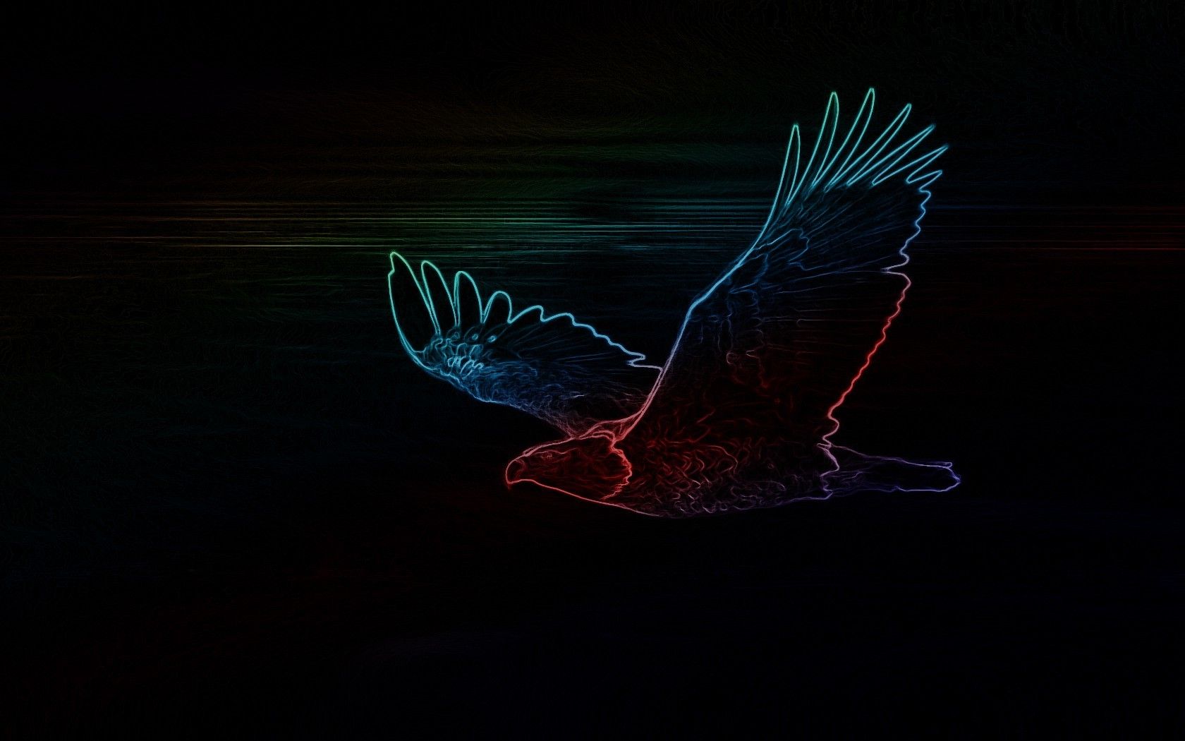 Neon Bird Wallpapers