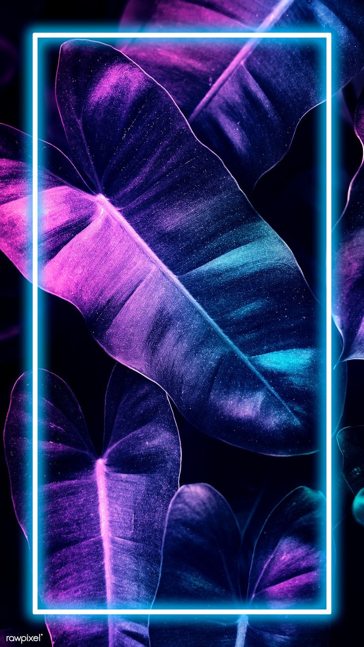 Neon Square 4K Wallpapers