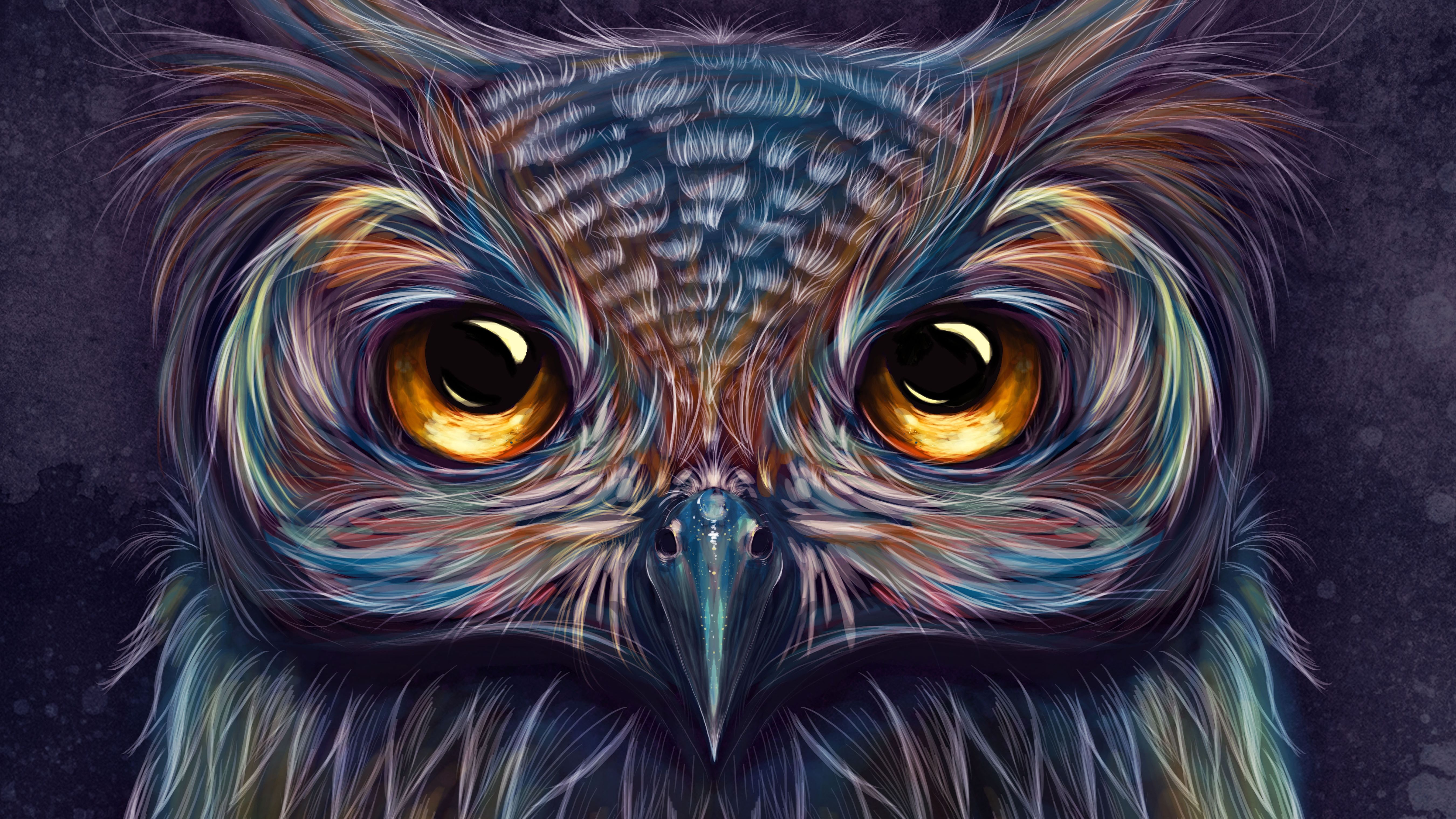 Owl Forest At Night Art Wallpapers