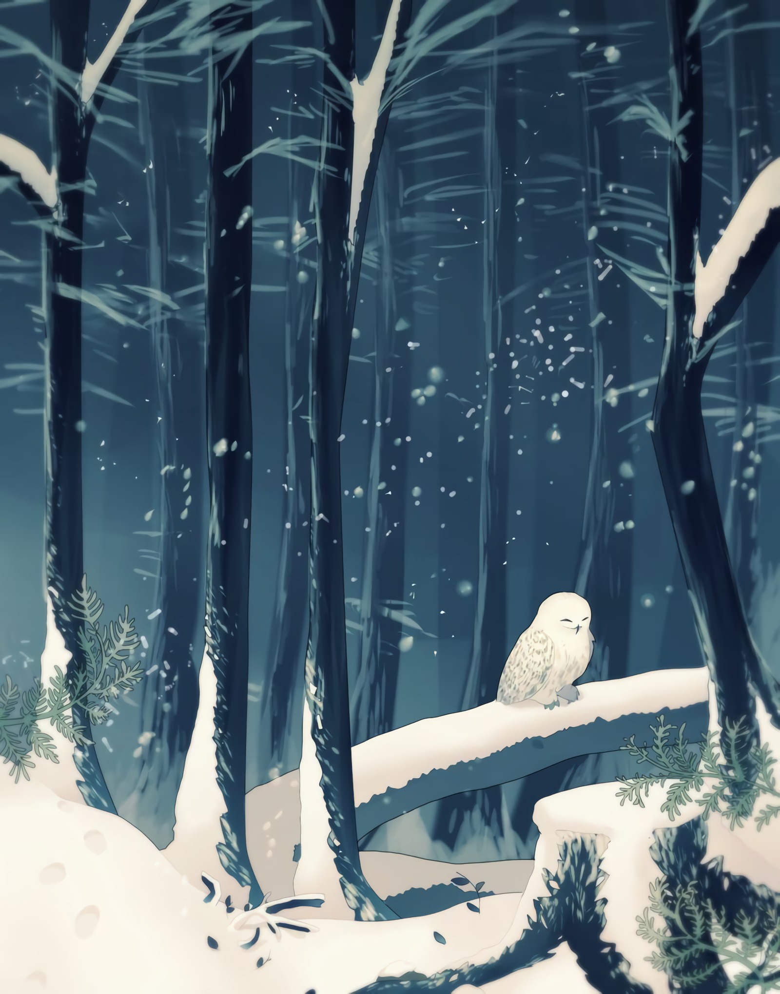 Owl Forest At Night Art Wallpapers