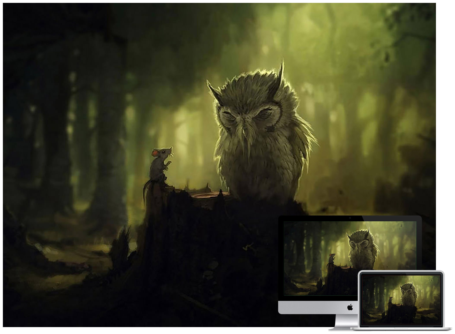 Owl Forest At Night Art Wallpapers