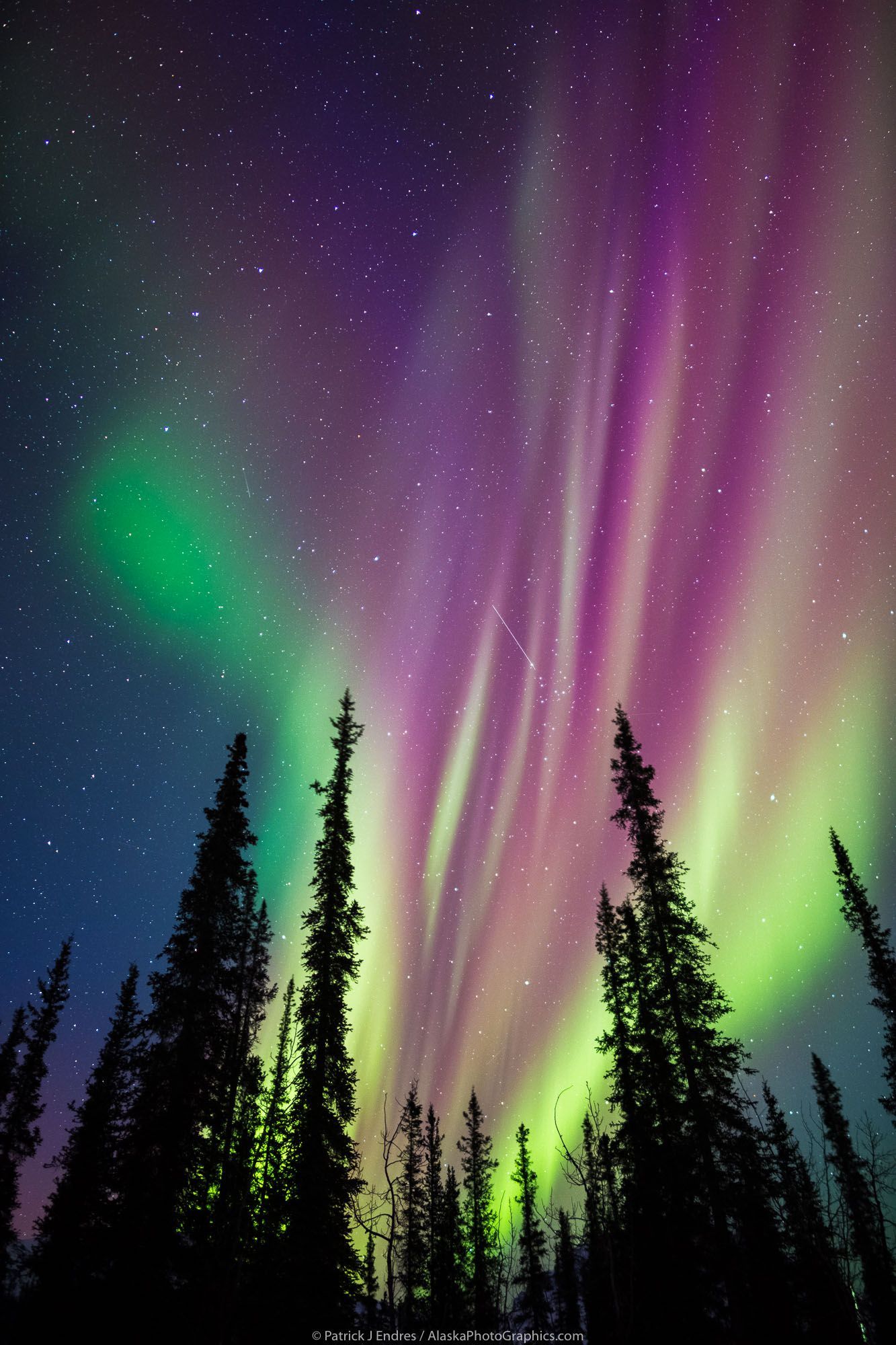 Purple Aurora Borealis Hd Wallpapers