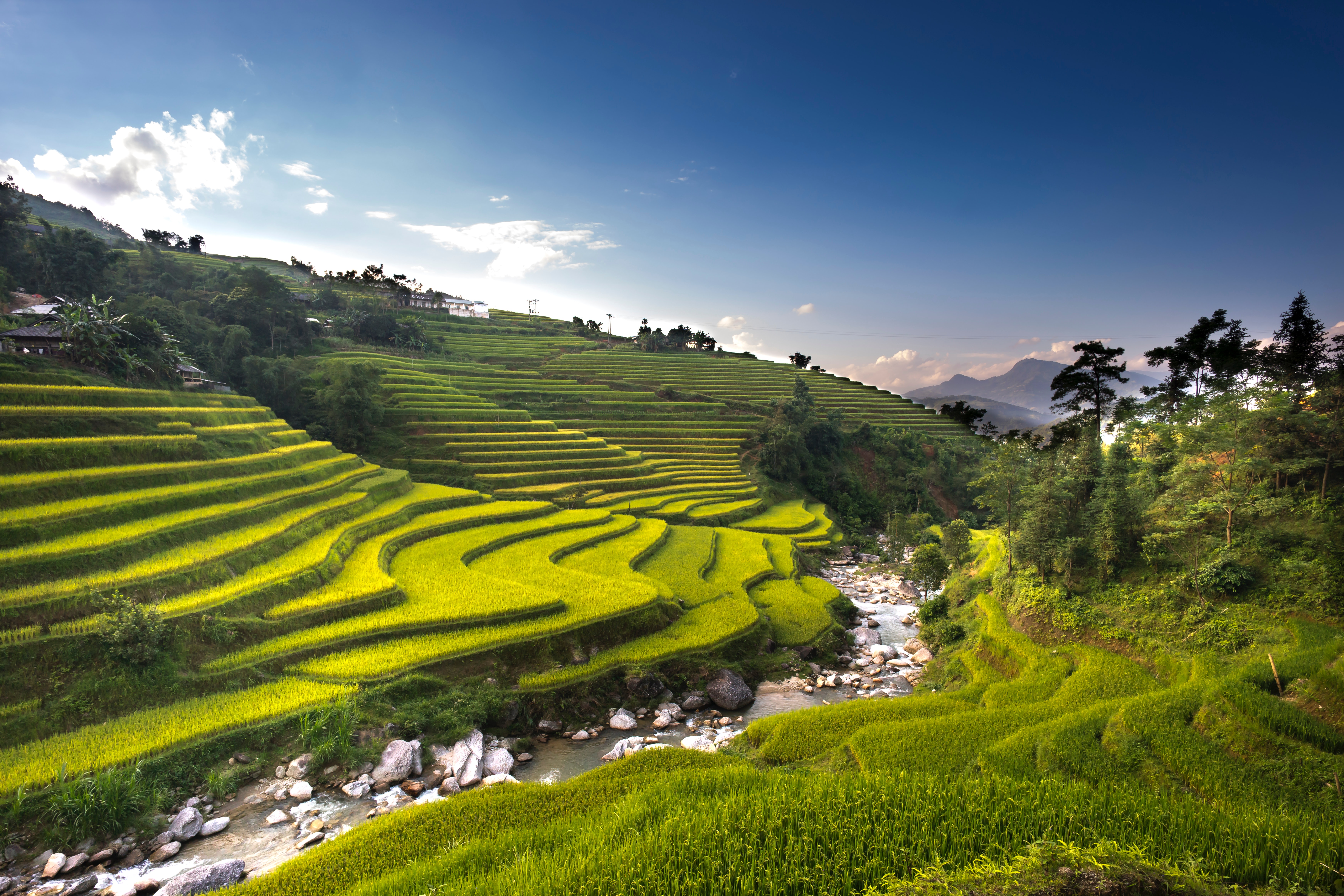 Rice Terrace New 4K Wallpapers