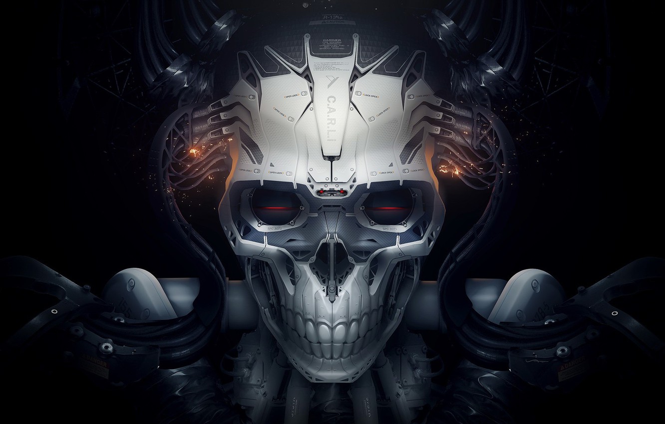 Robot Skull Wallpapers